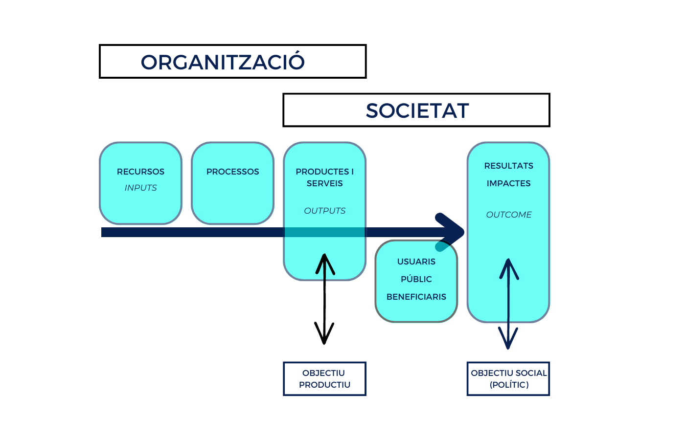 gràfic sobre l'organització i la societat