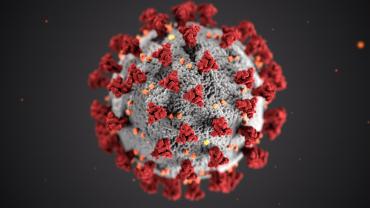 detall coronavirus