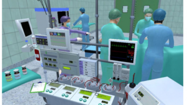 Virtual_Perfusionist