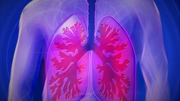càncer de pulmó
