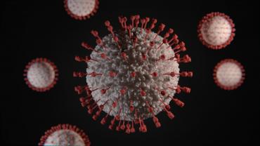 Pla detall d'un coronavirus