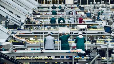 industria_agroalimentaria