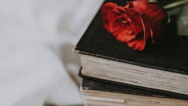 Imatge d'una rosa damunt de dos llibres.