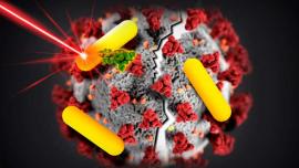 Imatge d'un SARS-CoV-2 amb nanopartícules.