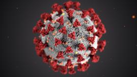 detall coronavirus