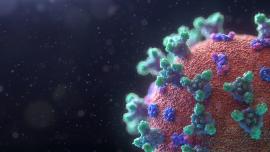 coronavirus