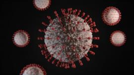 Pla detall d'un coronavirus