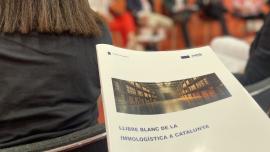 immologistica