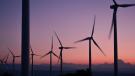 molins de vent en contrallum